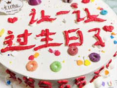 -维尔纳斯·生日蛋糕动物奶油冰淇淋蛋糕(人大店)