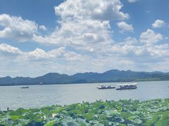 -湖畔居茶楼(湖滨店)