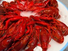 -杨氏青龙虾(竹山路店)