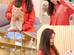 -屋虎猫馆(宝安大仟里店)