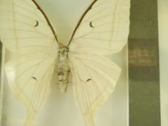 -上海昆虫博物馆