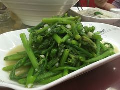 清炒南瓜苗-魏四小鱼锅贴王