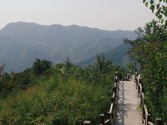 -大岭沟猕猴桃谷风景区