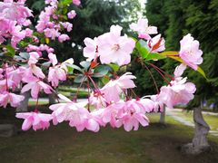 -白塘生态植物园