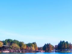-贡湖湾湿地公园