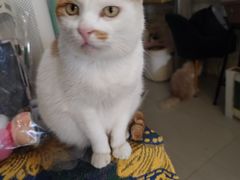-平行世界·猫咖(首经贸店)