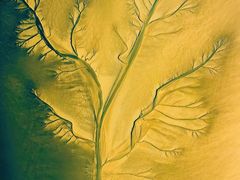 -盐城丹顶鹤湿地生态旅游区