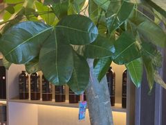 -鹿栖.精油SPA(金山世纪城店)