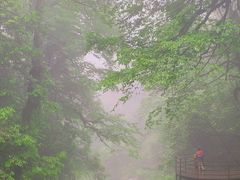 -龙苍沟森林公园