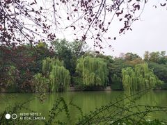 -包公祠