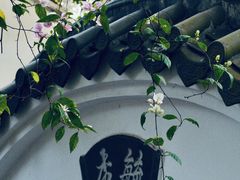 -深圳国际园林花卉博览园