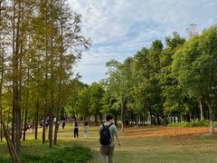 -上海长兴岛郊野公园