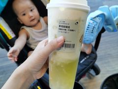多肉玫珑瓜-喜茶(佛山南海万科广场店)