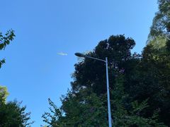 -火炉山森林公园