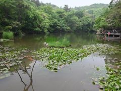 -天目湖山水园
