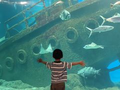 -福州罗源湾海洋世界旅游区