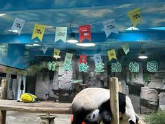 -栾川竹海野生动物园
