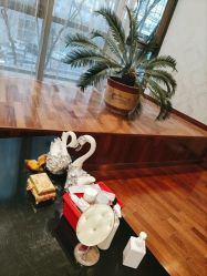 -北京英煌医疗美容