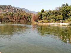 -星湖旅游景区七星岩