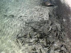 -青海湖二郎剑景区