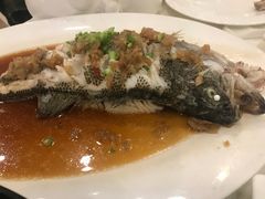 -金河半岛园林酒家(金融城店)