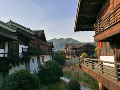 -大唐贡茶院