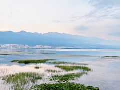 -大理洱海