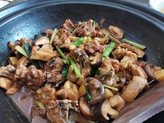 -金记猪肚鸡(琅西店)