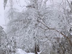 -瓦屋山景区