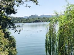 -西湖外事游船(花港观鱼码头)