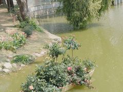 -人民公园(罗湖区)