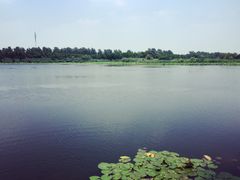 -溱湖国家湿地公园