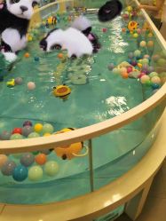 -沫奇婴幼儿水育馆(青山湖万达店)