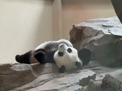 -宁波野生动物园