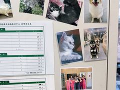 -爱妮康宠物医院·干细胞免疫细胞·肿瘤·心脏(张江店)