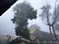 -九华山风景区