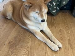 -小时光咖啡馆(开森度假森林店)