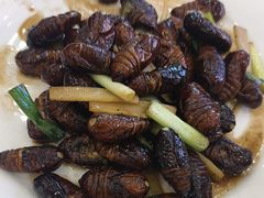 -老苏扬饭店