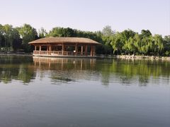 -西安浐灞国家湿地公园