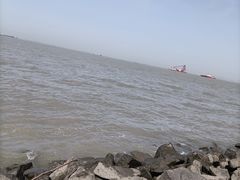 -上海滨江森林公园