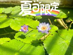 -国家植物园南园