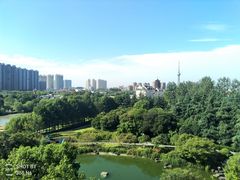 -溱湖国家湿地公园