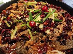 -老板恋上鱼(高新万达店)