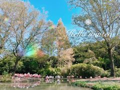 -上海野生动物园