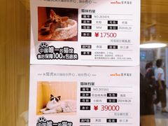 -屋虎猫馆(宝安大仟里店)