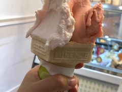 -柠檬车露(卖草地店)