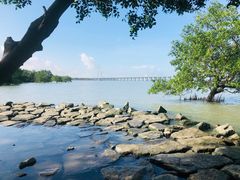 -宝安西湾红树林湿地公园