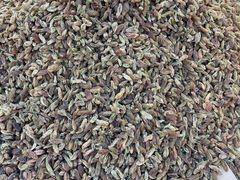 -新疆国际大巴扎