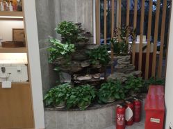 -雅曼妮spa美容养生