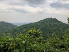 -九曜山